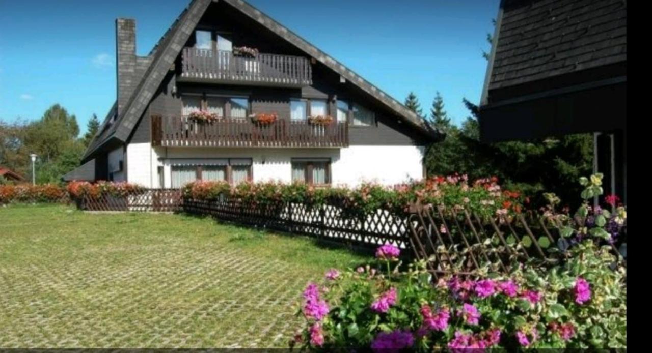 Ferienhaus-Schoenwald Im Herzen Des Schwarzwaldes 1Zimmer Wohnung Mit Terrasse App17 Exterior photo